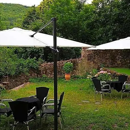El Jardin Del Conde